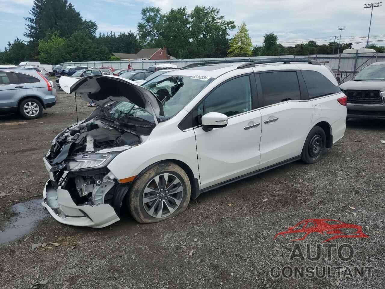 HONDA All Models 2023 - 5FNRL6H61PB062951