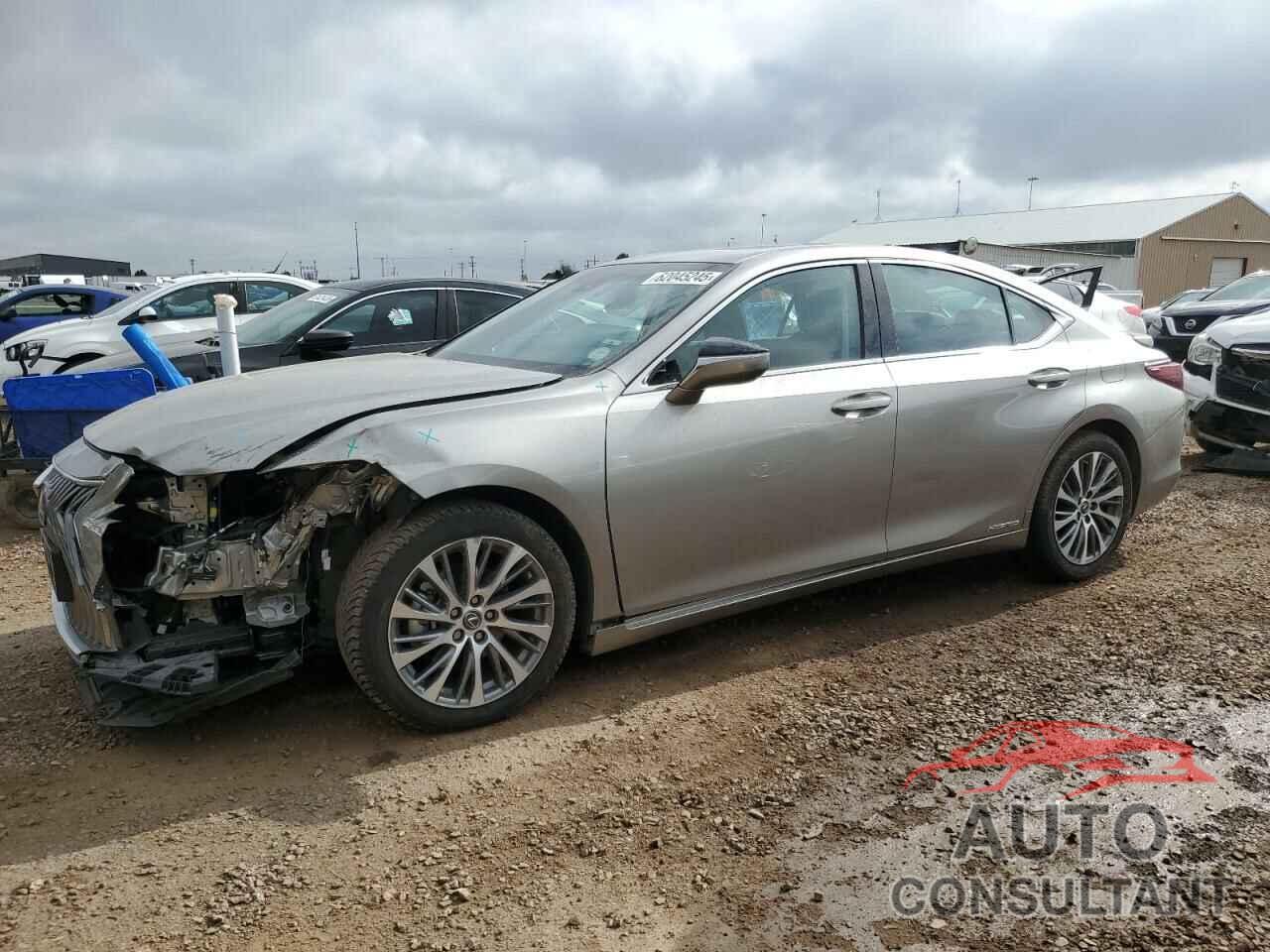 LEXUS ES300 2020 - 58AD21B19LU007702