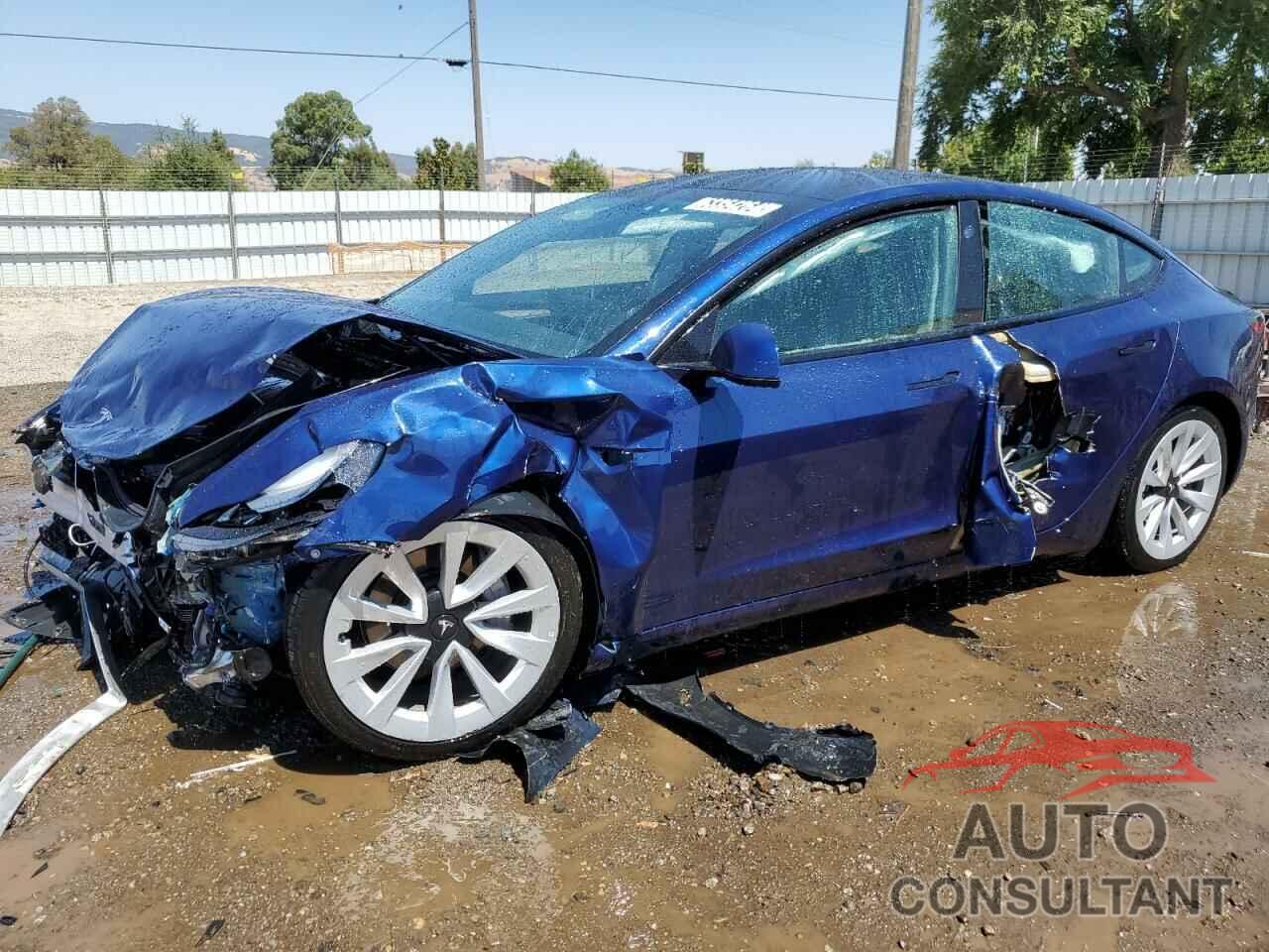 TESLA MODEL 3 2023 - 5YJ3E1EA2PF459628