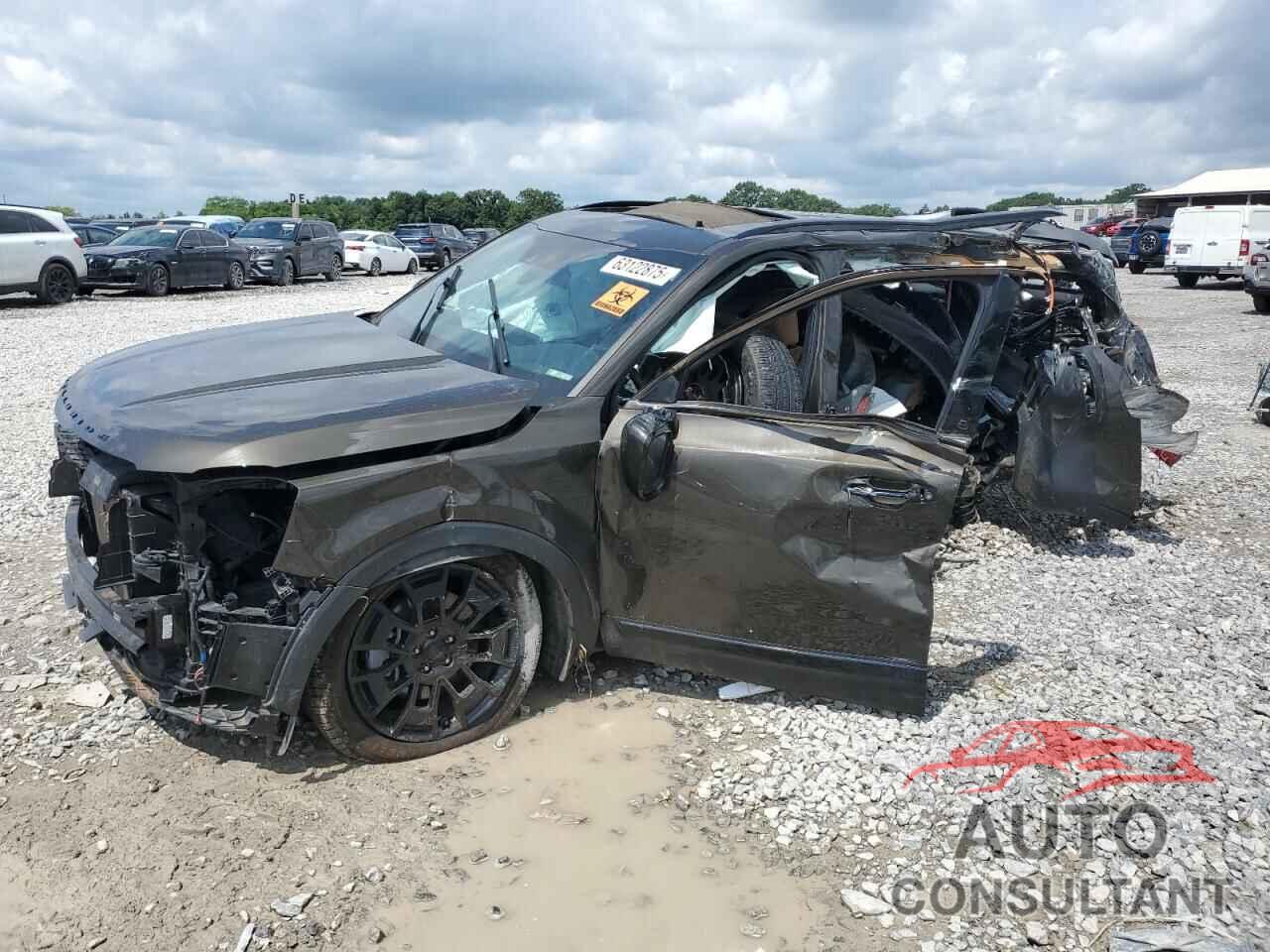 KIA TELLURIDE 2021 - 5XYP5DHC9MG097981