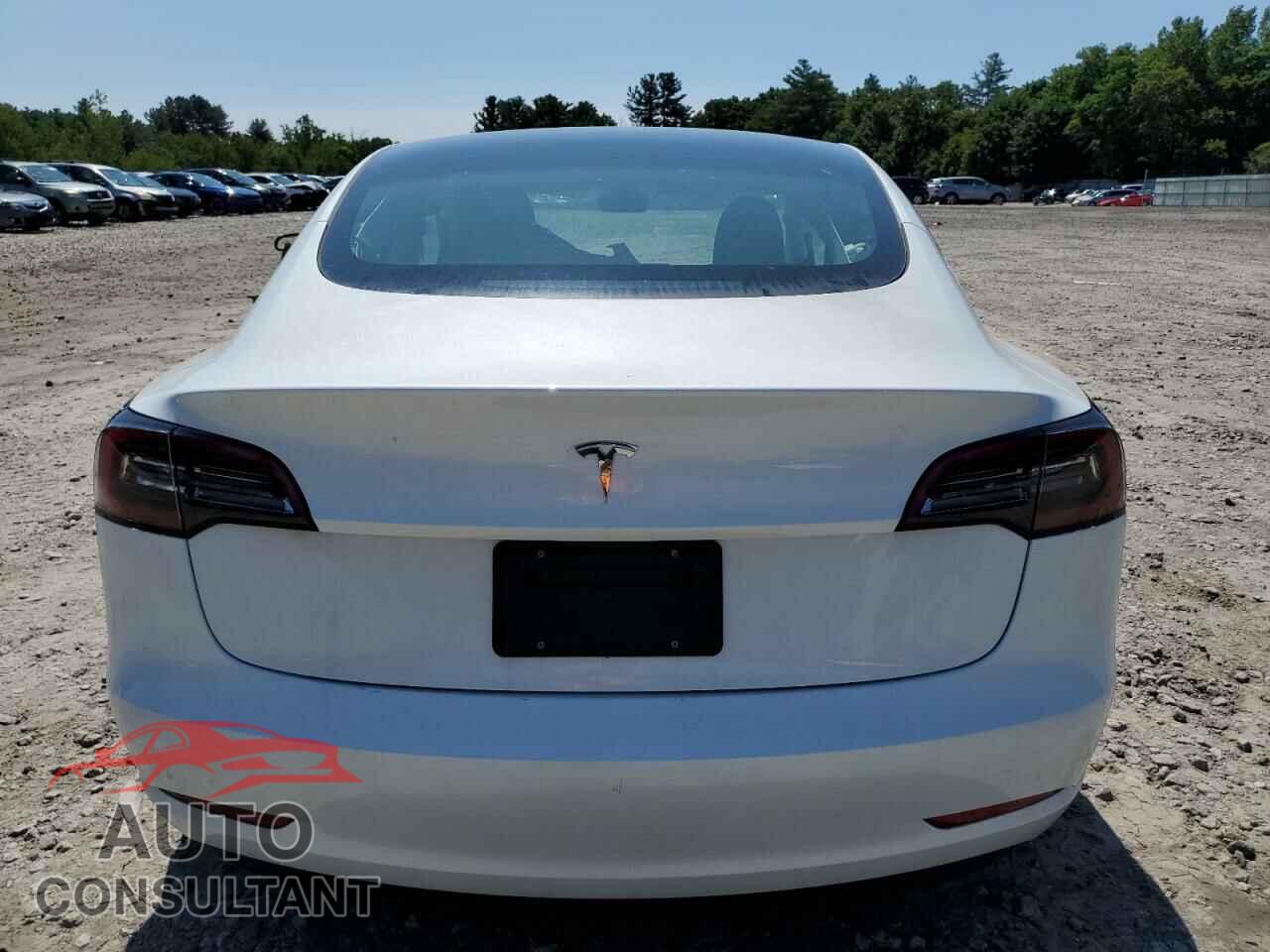 TESLA MODEL 3 2023 - 5YJ3E1EA1PF605646