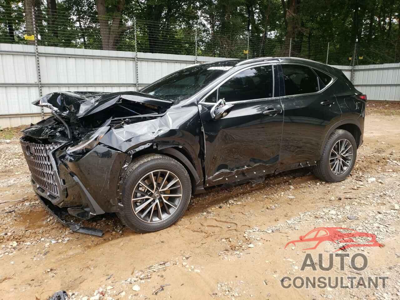 LEXUS NX 350H BA 2024 - JTJGKCEZ0R5021316