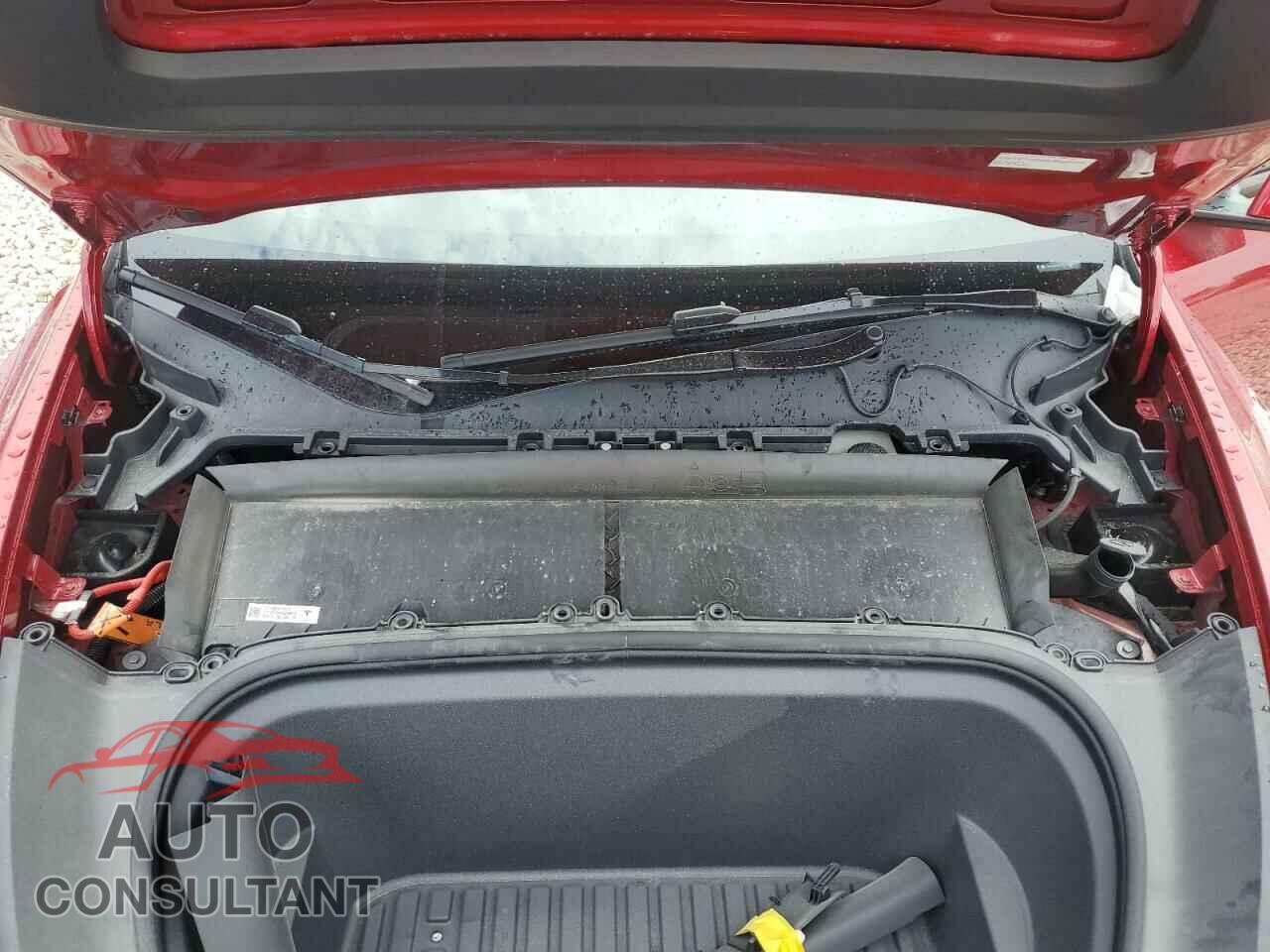 TESLA MODEL Y 2024 - 7SAYGDEEXRA256865