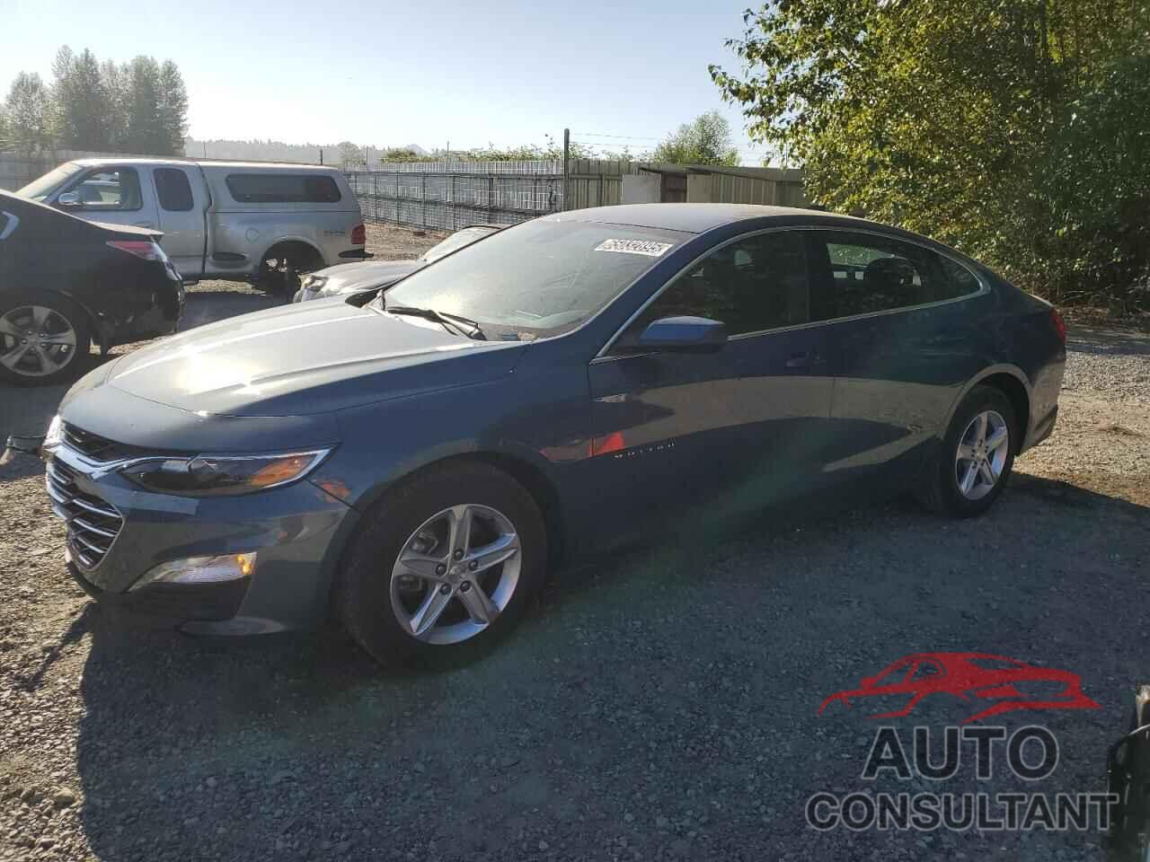 CHEVROLET MALIBU 2024 - 1G1ZD5ST1RF209489