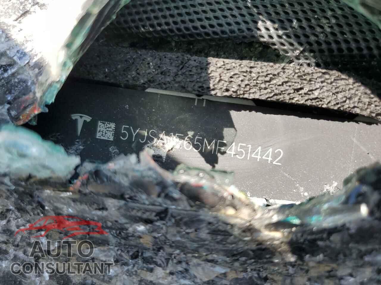 TESLA MODEL S 2021 - 5YJSA1E65MF451442