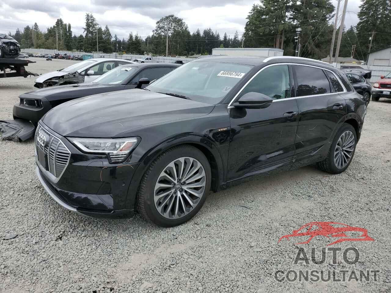 AUDI E-TRON 2019 - WA1VABGE5KB019242