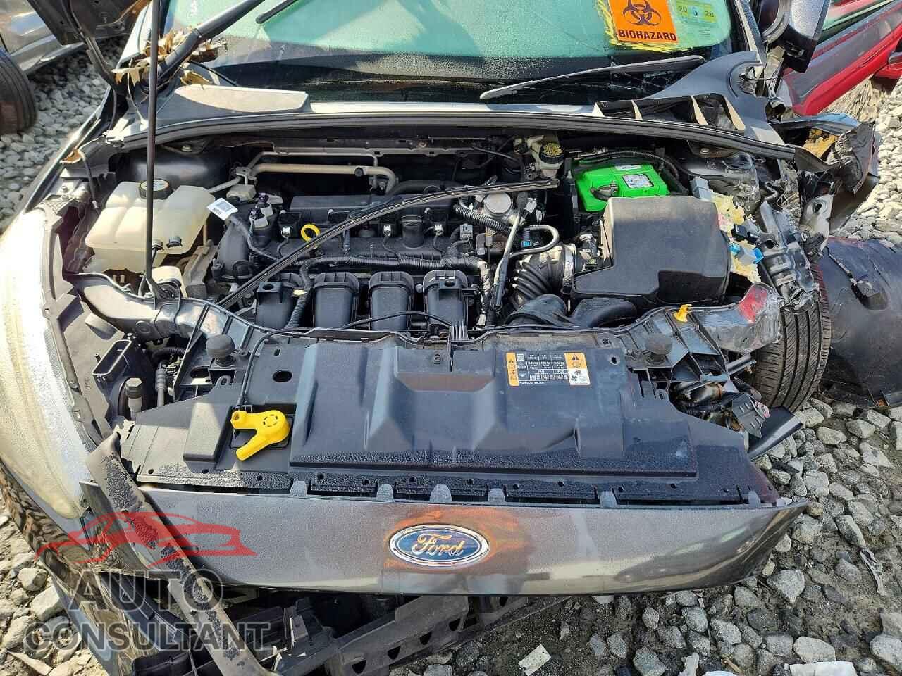 FORD FOCUS 2016 - 1FADP3K28GL406586