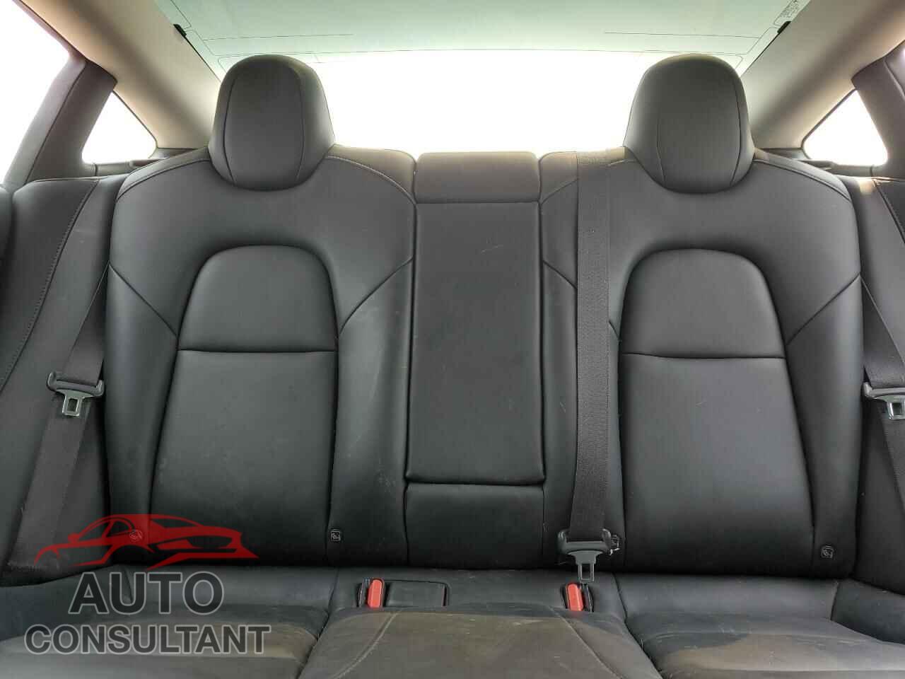 TESLA MODEL 3 2019 - 5YJ3E1EA7KF325545
