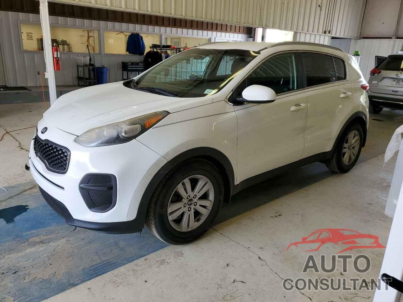 KIA SPORTAGE 2017 - KNDPM3AC6H7036257