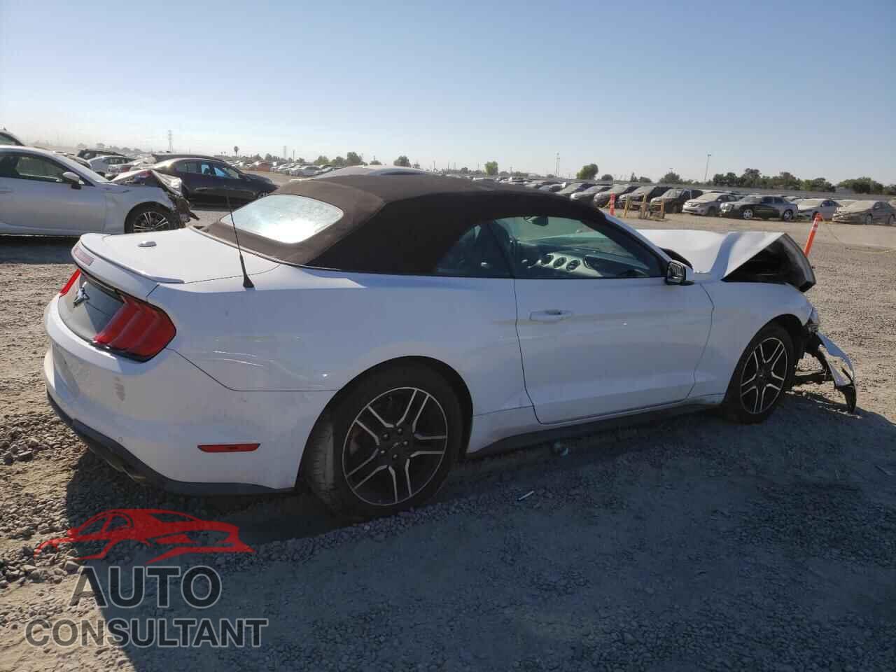 FORD ALL Models 2019 - 1FATP8UH5K5126261