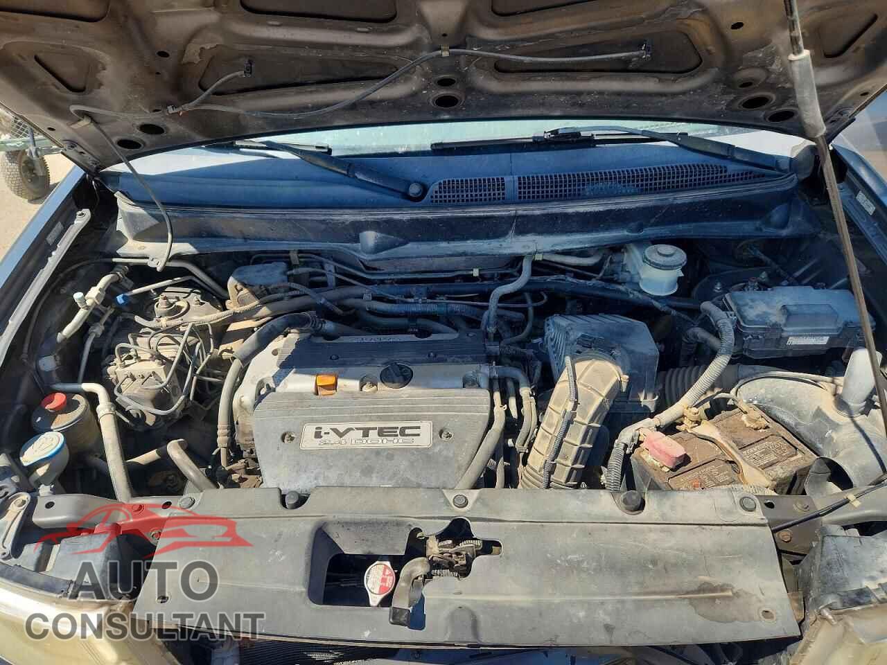 HONDA ELEMENT 2009 - 5J6YH28729L005912