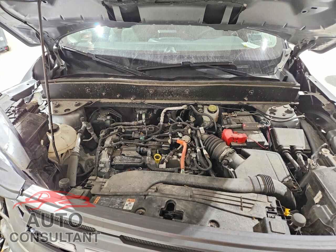 FORD BRONCO 2023 - 3FMCR9B62PRD08687