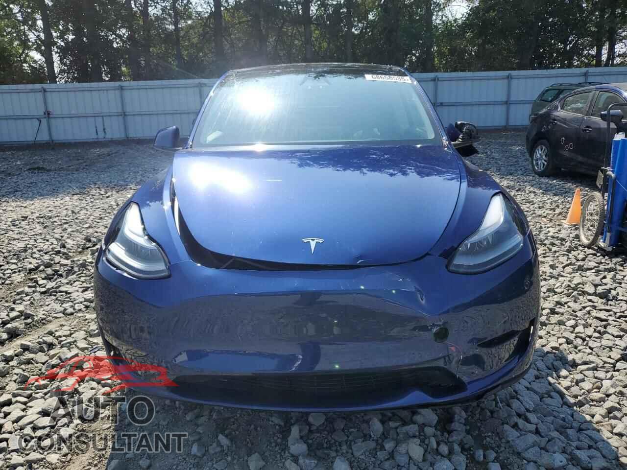TESLA MODEL Y 2023 - 7SAYGDEEXPF799472