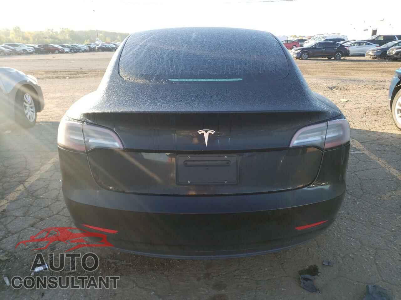 TESLA MODEL 3 2019 - 5YJ3E1EA2KF399651