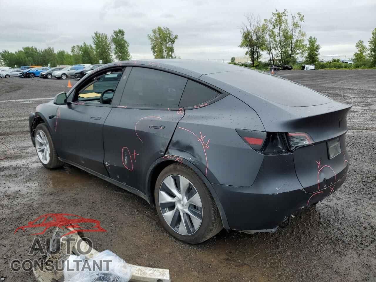TESLA MODEL Y 2024 - 7SAYGDED9RF015406
