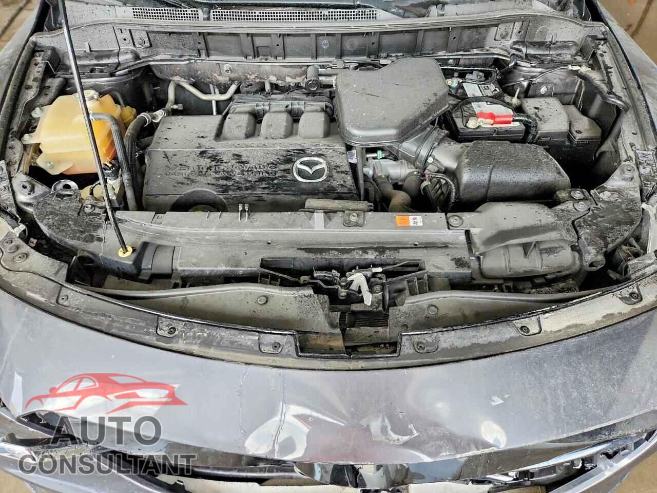 MAZDA CX-9 2014 - JM3TB2BA9E0438040