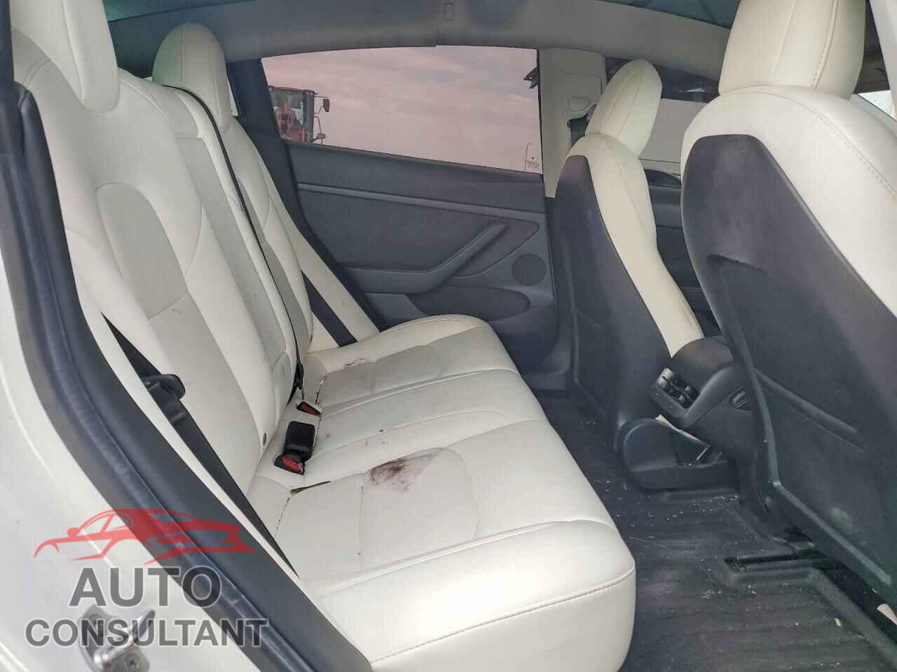 TESLA MODEL 3 2021 - 5YJ3E1EA1MF096010