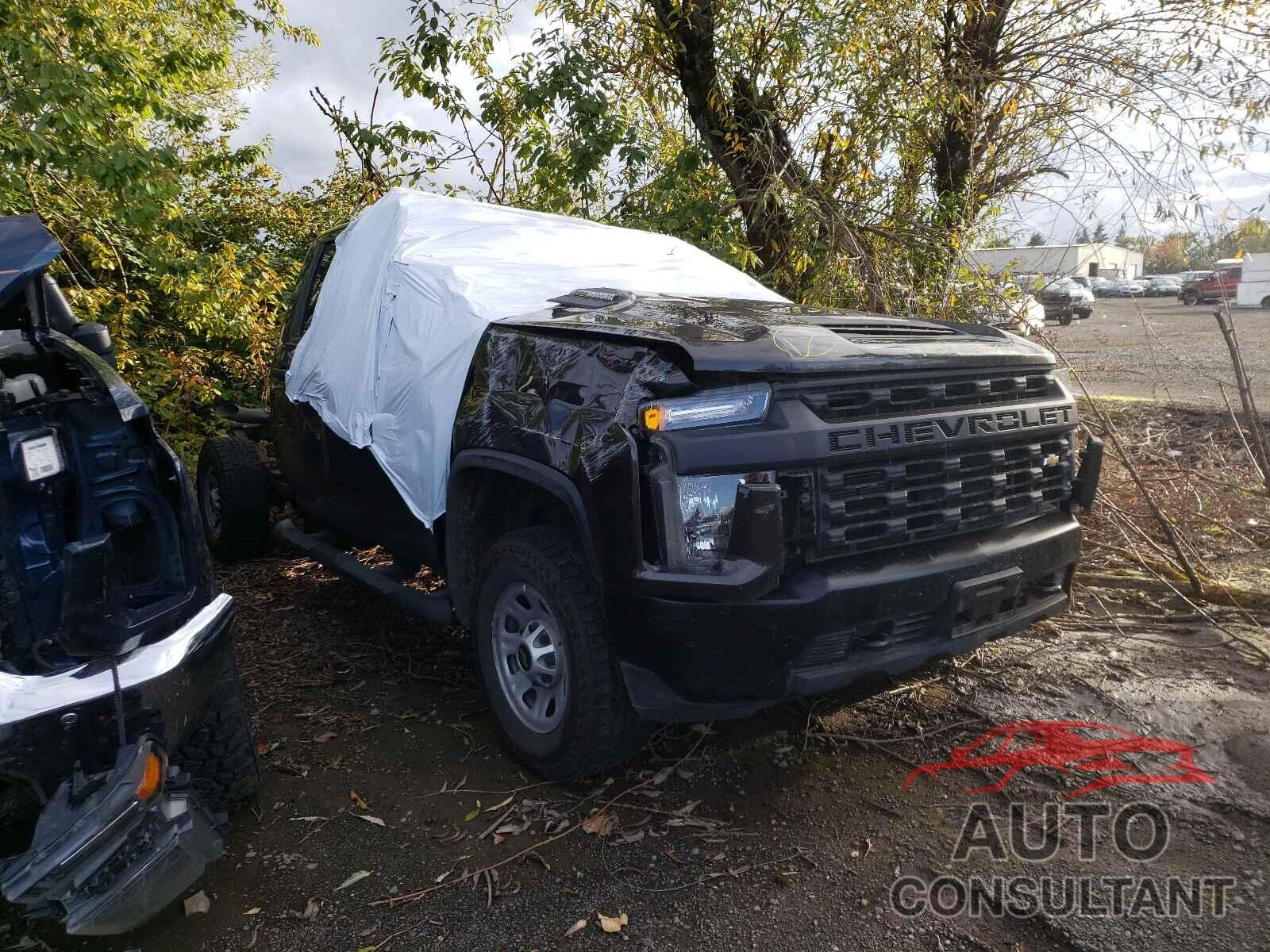 CHEVROLET SILVERADO 2020 - 1GB5YSEY0LF288553