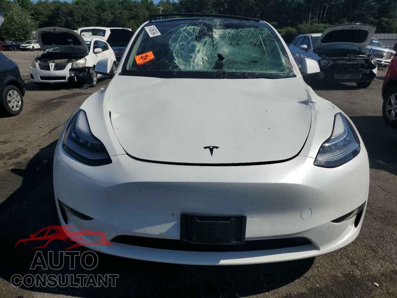 TESLA MODEL Y 2022 - 7SAYGDEE1NA014542