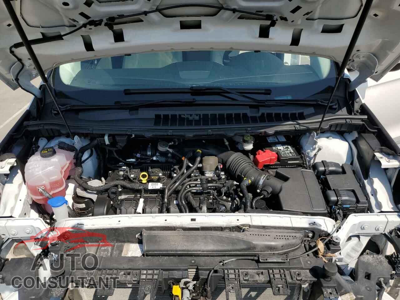 FORD EDGE 2019 - 2FMPK4K92KBC27974