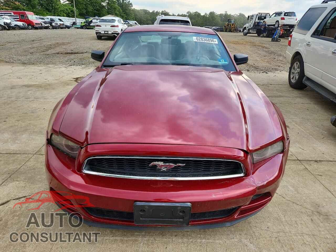 FORD MUSTANG 2014 - 1ZVBP8AM4E5245721
