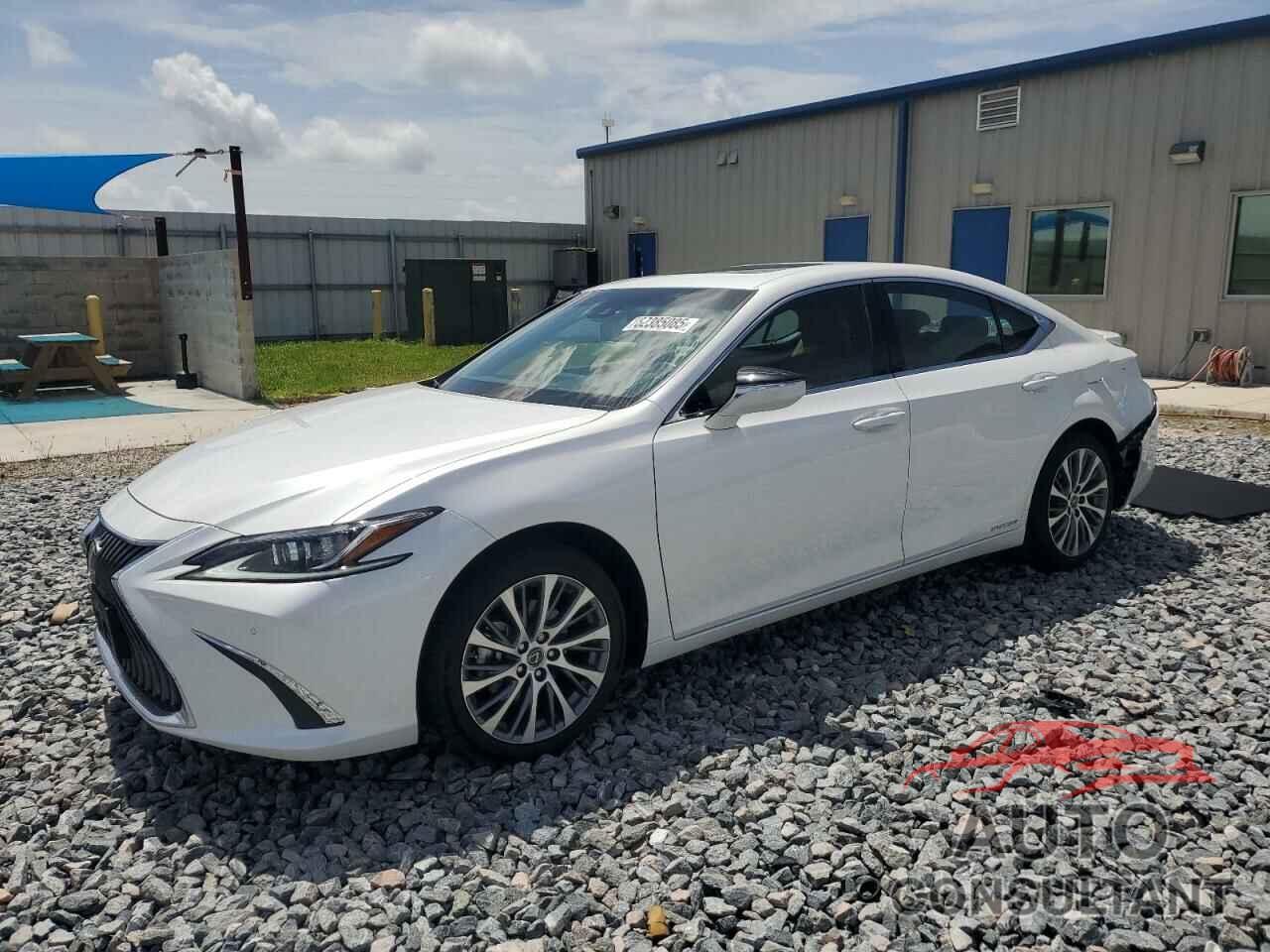 LEXUS ES300 2021 - 58ADA1C16MU011922