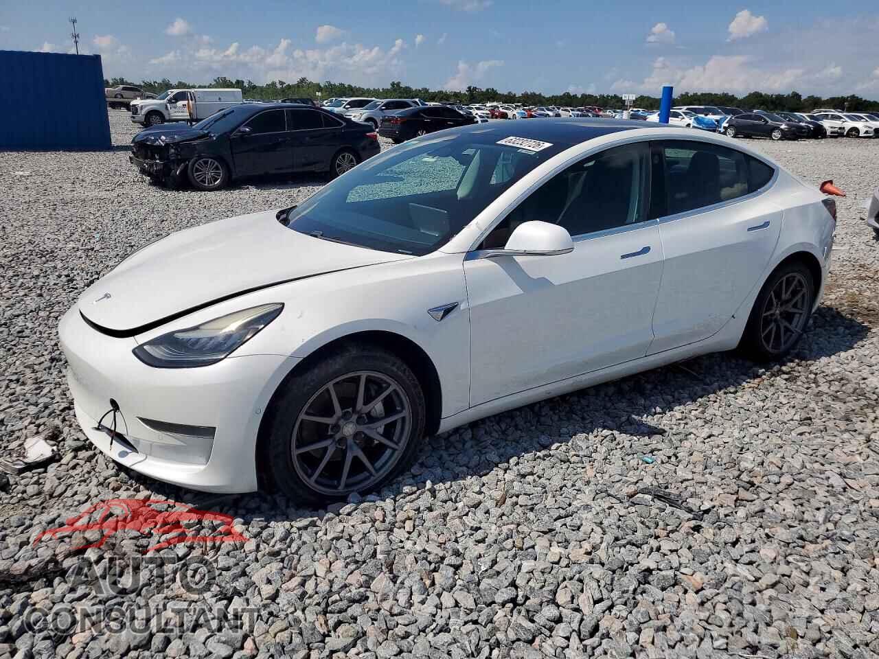 TESLA MODEL 3 2019 - 5YJ3E1EA1KF464599