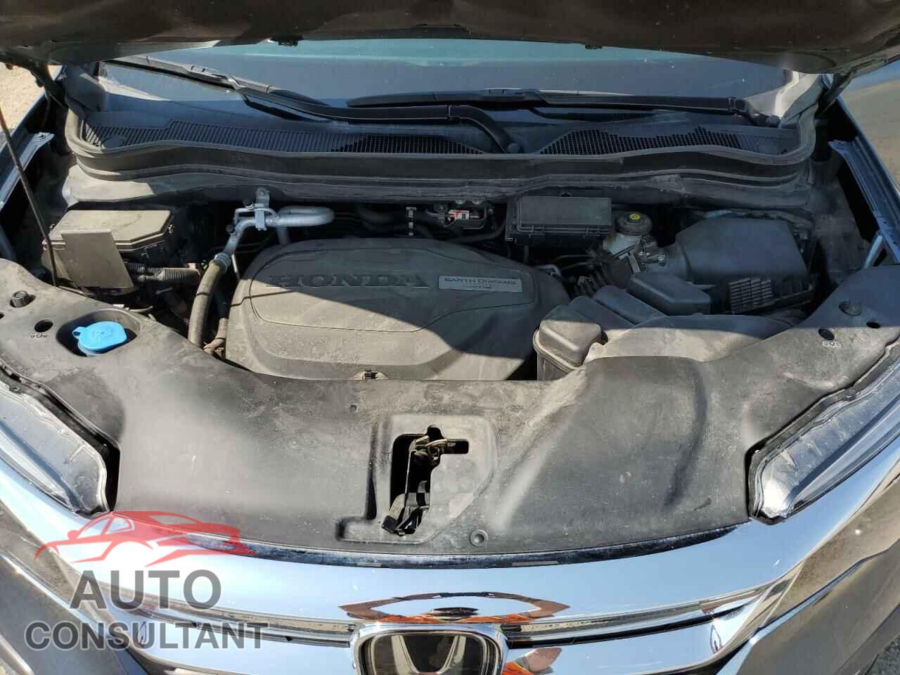 HONDA PILOT 2019 - 5FNYF6H53KB021661
