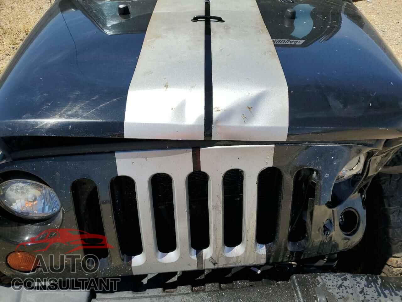 JEEP WRANGLER 2011 - 1J4AA2D17BL503858