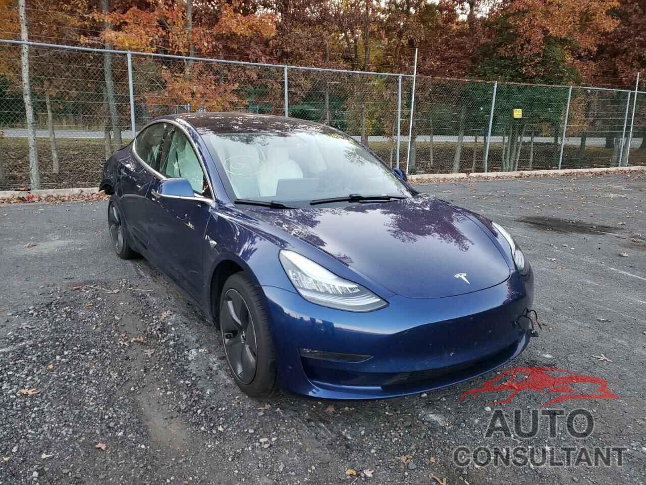 2019 MODEL 3 TESLA