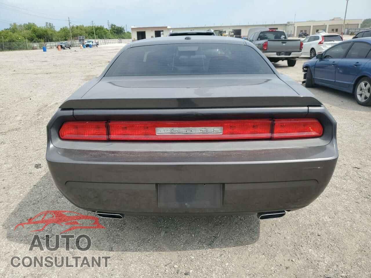 DODGE CHALLENGER 2013 - 2C3CDYAG2DH660154