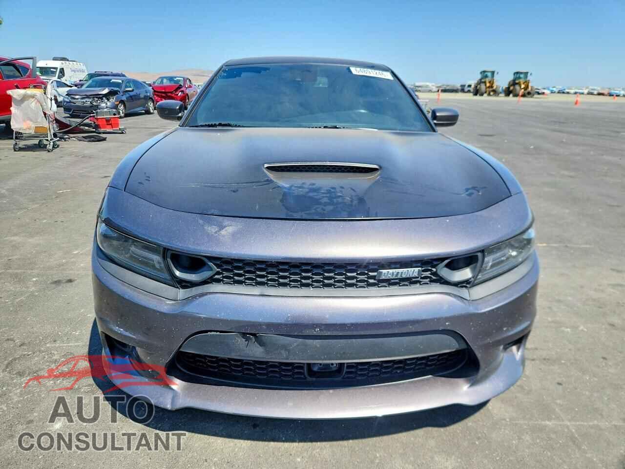 DODGE CHARGER 2019 - 2C3CDXGJ5KH530847