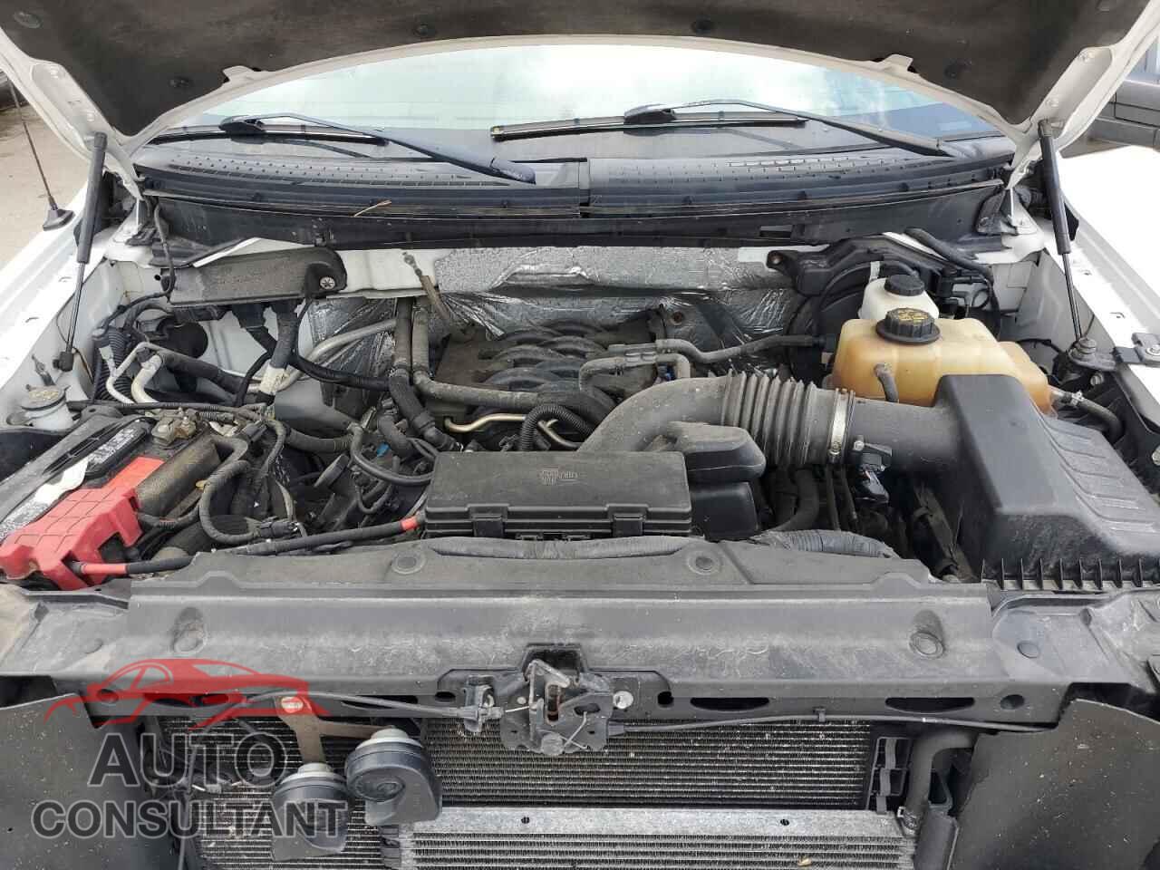 FORD F-150 2011 - 1FTFW1EF4BFC04277