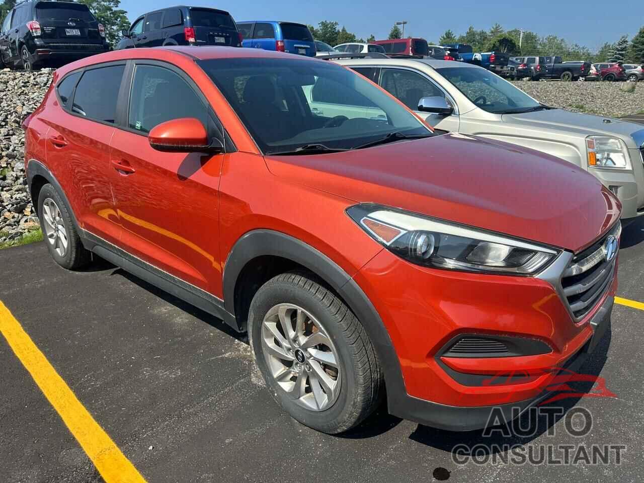 HYUNDAI TUCSON 2017 - KM8J23A44HU396824