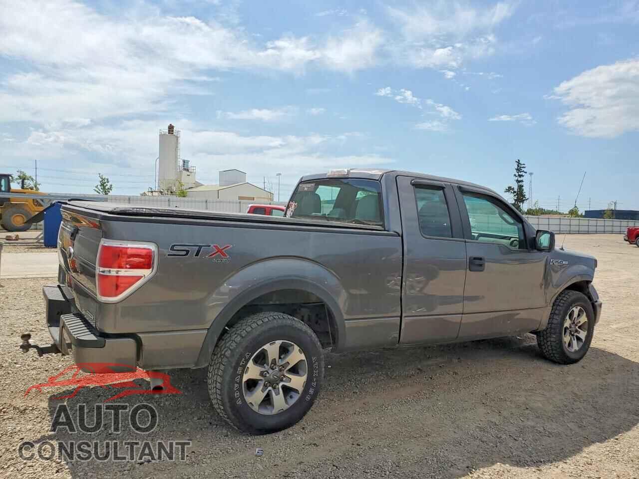 FORD F150 2014 - 1FTEX1EM8EFB29885