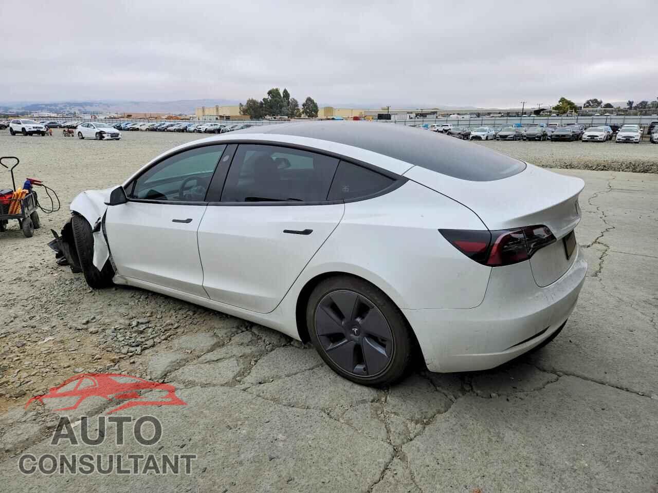 TESLA MODEL 3 2023 - 5YJ3E1EA1PF645516