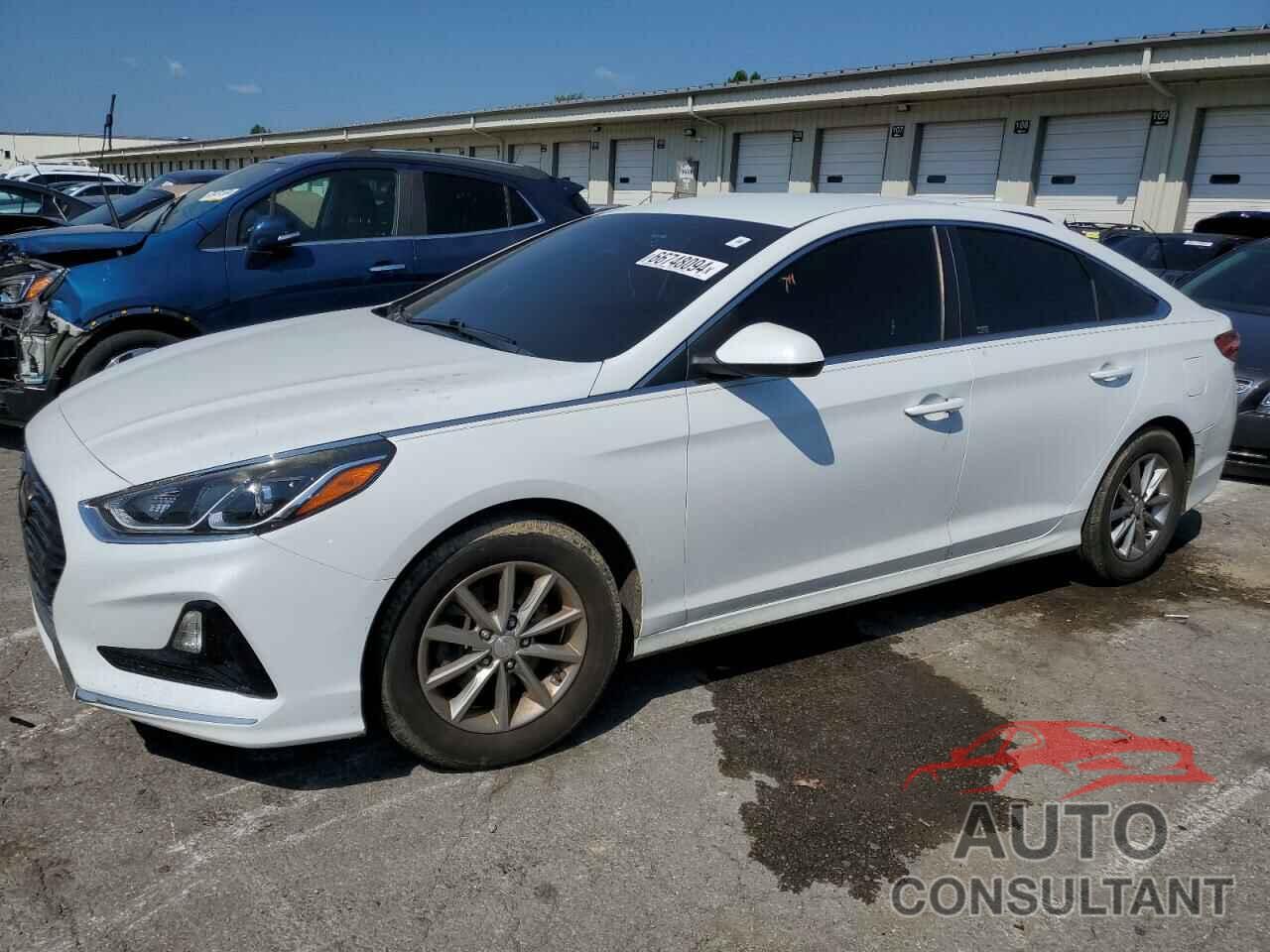 HYUNDAI SONATA 2018 - 5NPE24AF8JH615605