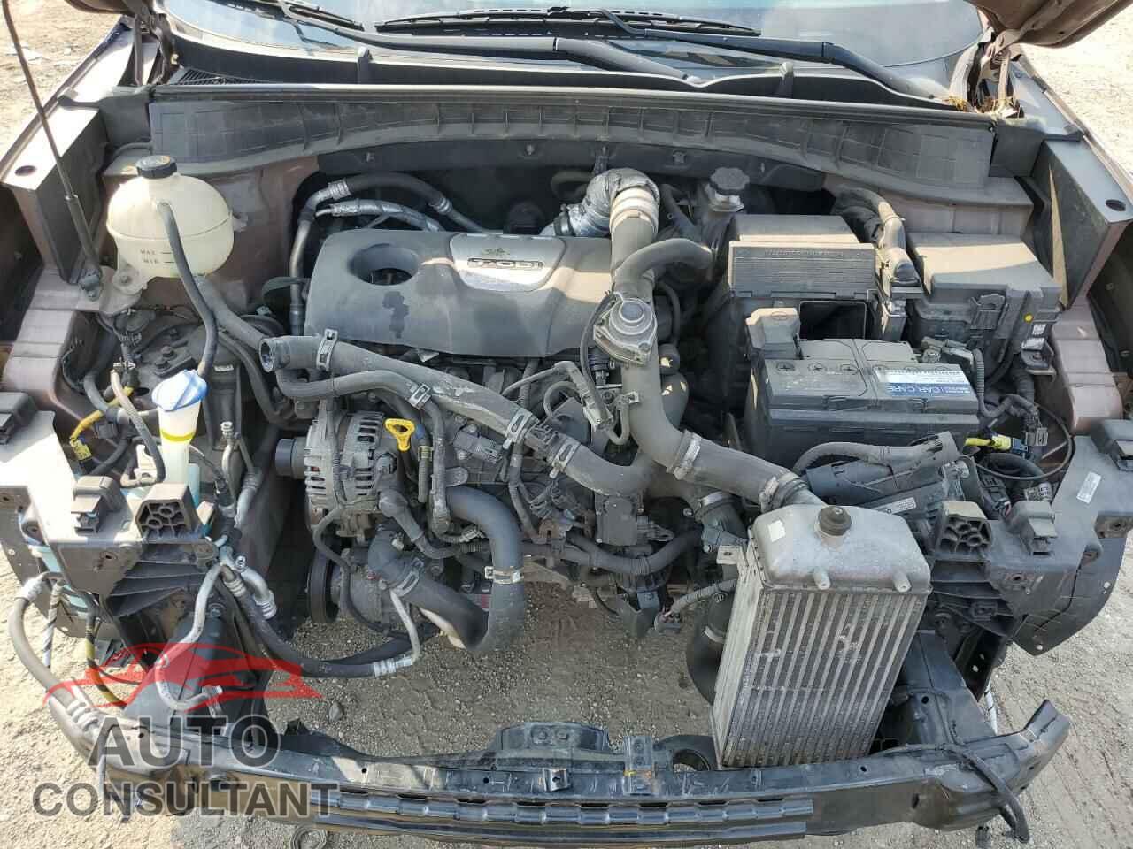 HYUNDAI TUCSON 2016 - KM8J3CA29GU214576