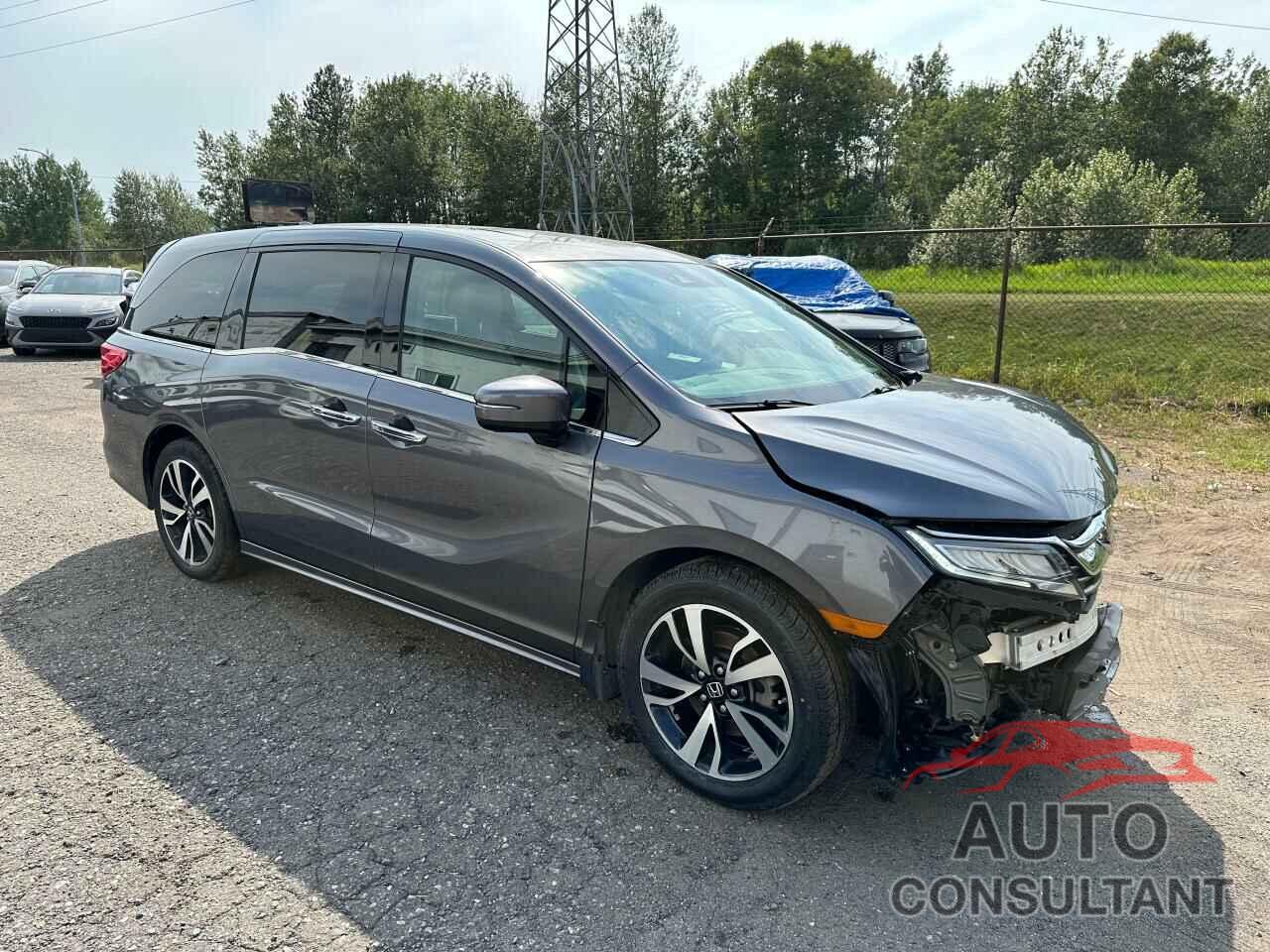 HONDA ODYSSEY 2019 - 5FNRL6H85KB505807