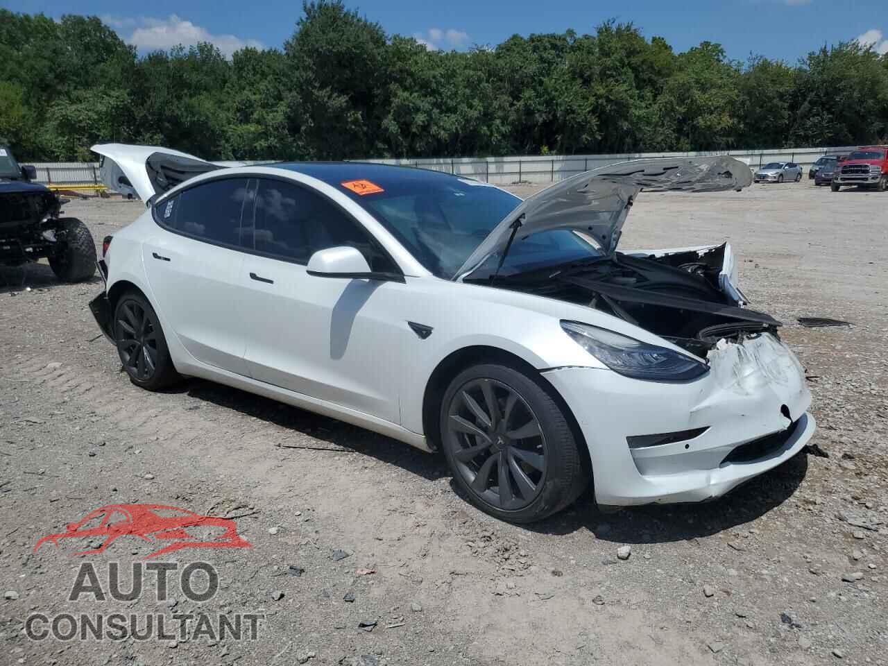TESLA MODEL 3 2019 - 5YJ3E1EB1KF494940