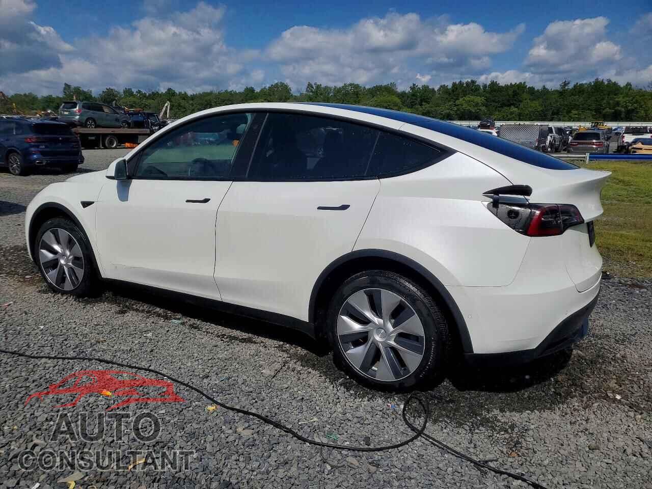 TESLA MODEL Y 2021 - 5YJYGDEEXMF249214