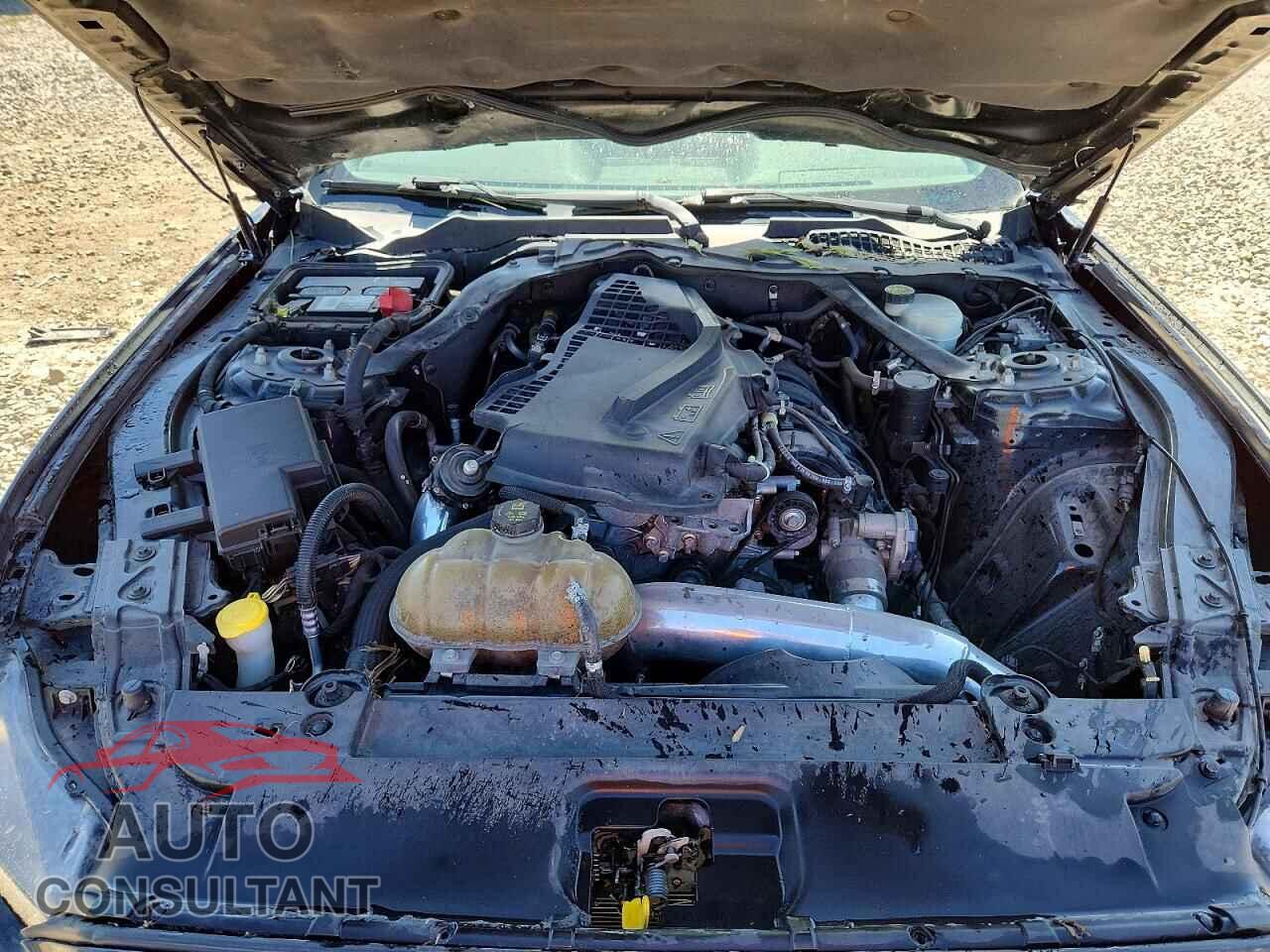FORD MUSTANG 2015 - 1FA6P8TH8F5342836
