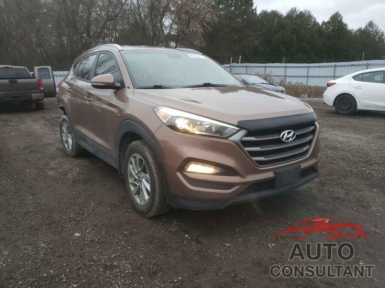 HYUNDAI TUCSON 2016 - KM8J33A48GU081603