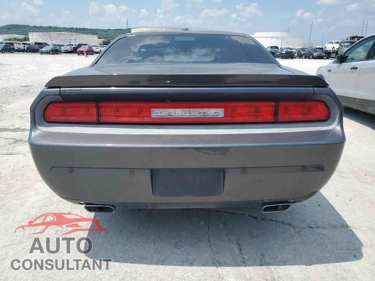 DODGE CHALLENGER 2013 - 2C3CDYAG9DH653184