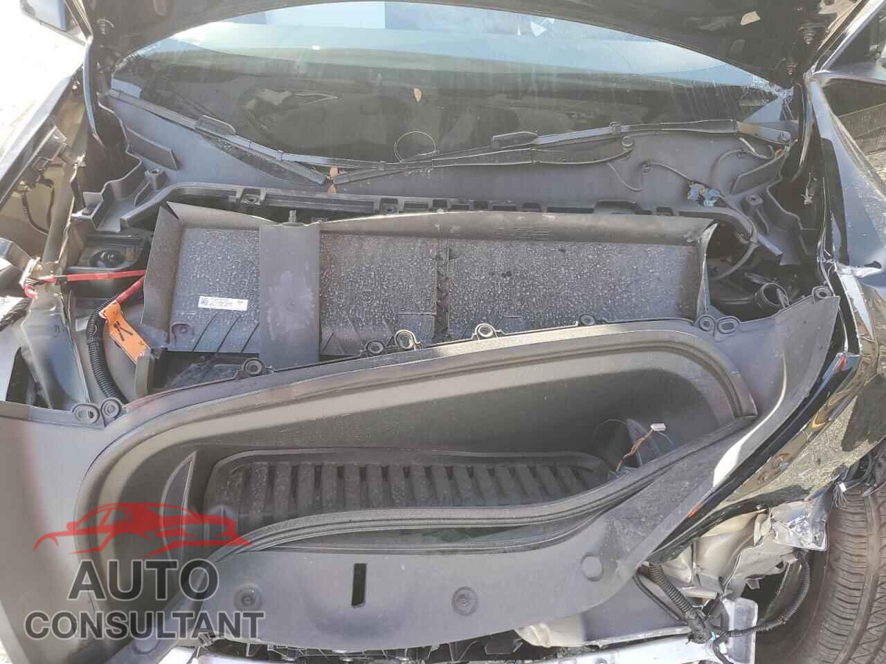 TESLA MODEL Y 2024 - 7SAYGAEE4RF182134