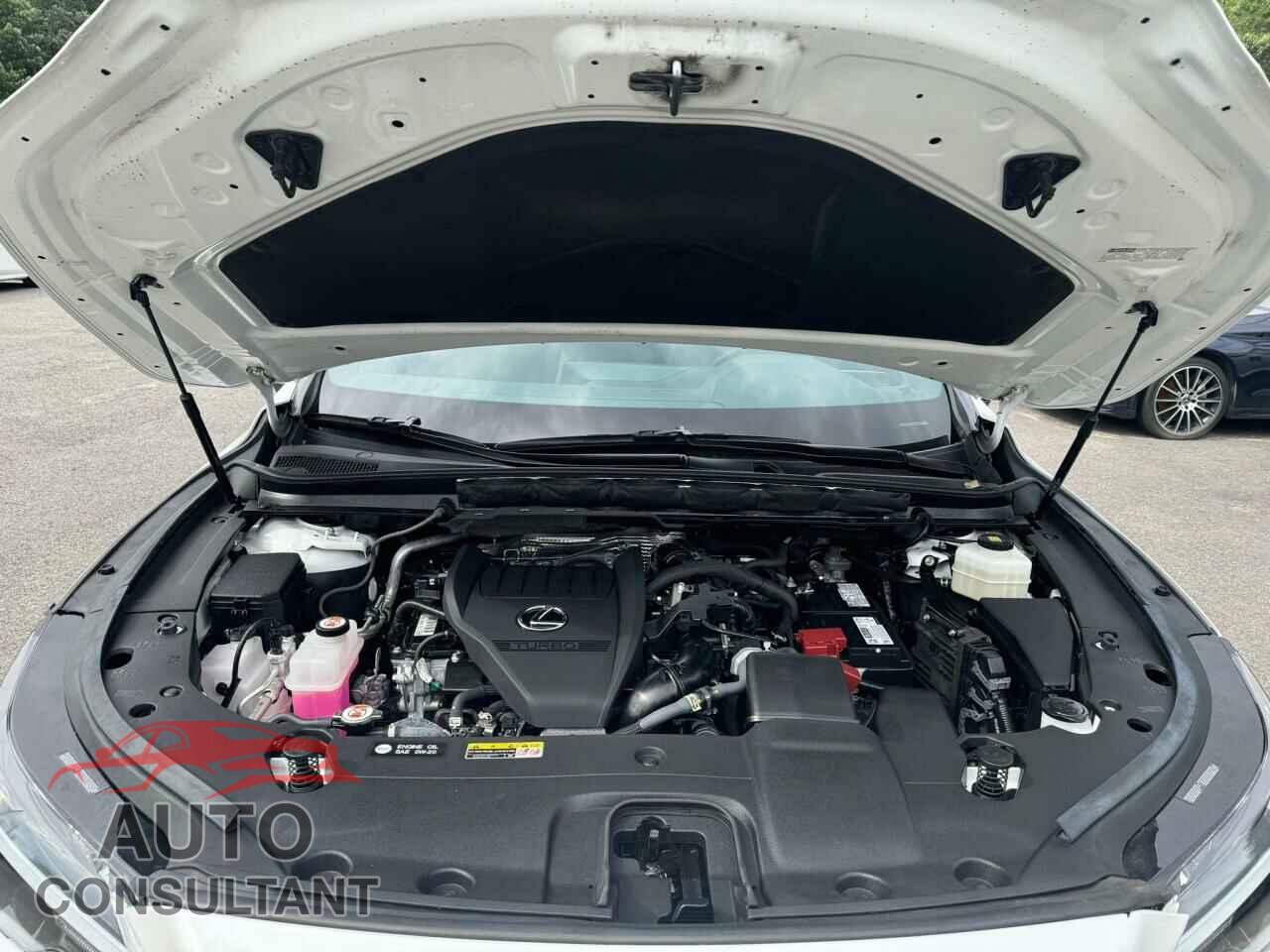 LEXUS RX350 2023 - 2T2BAMBA4PC002168