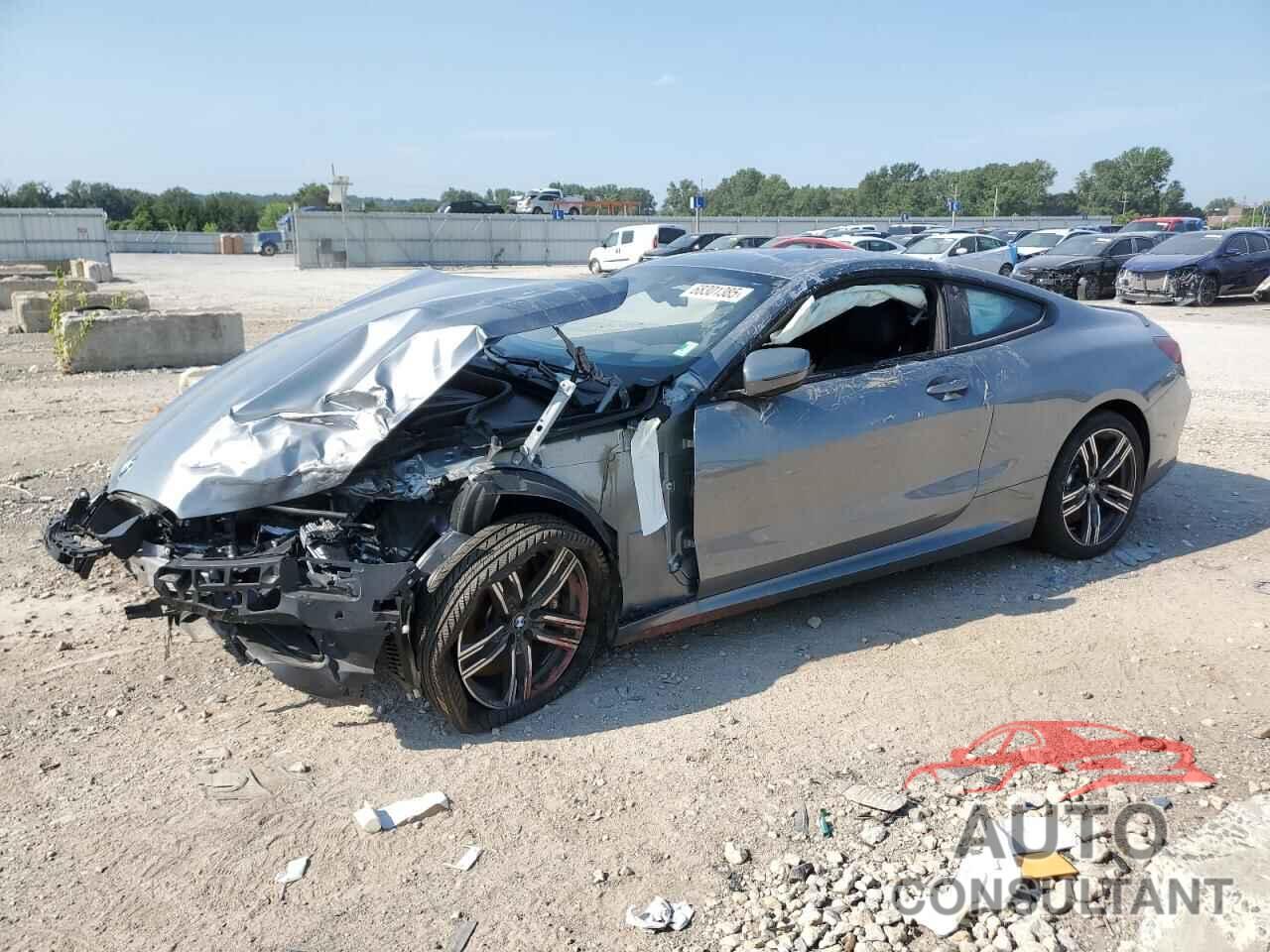 BMW 8 SERIES 2025 - WBAAE4C09SCS61392