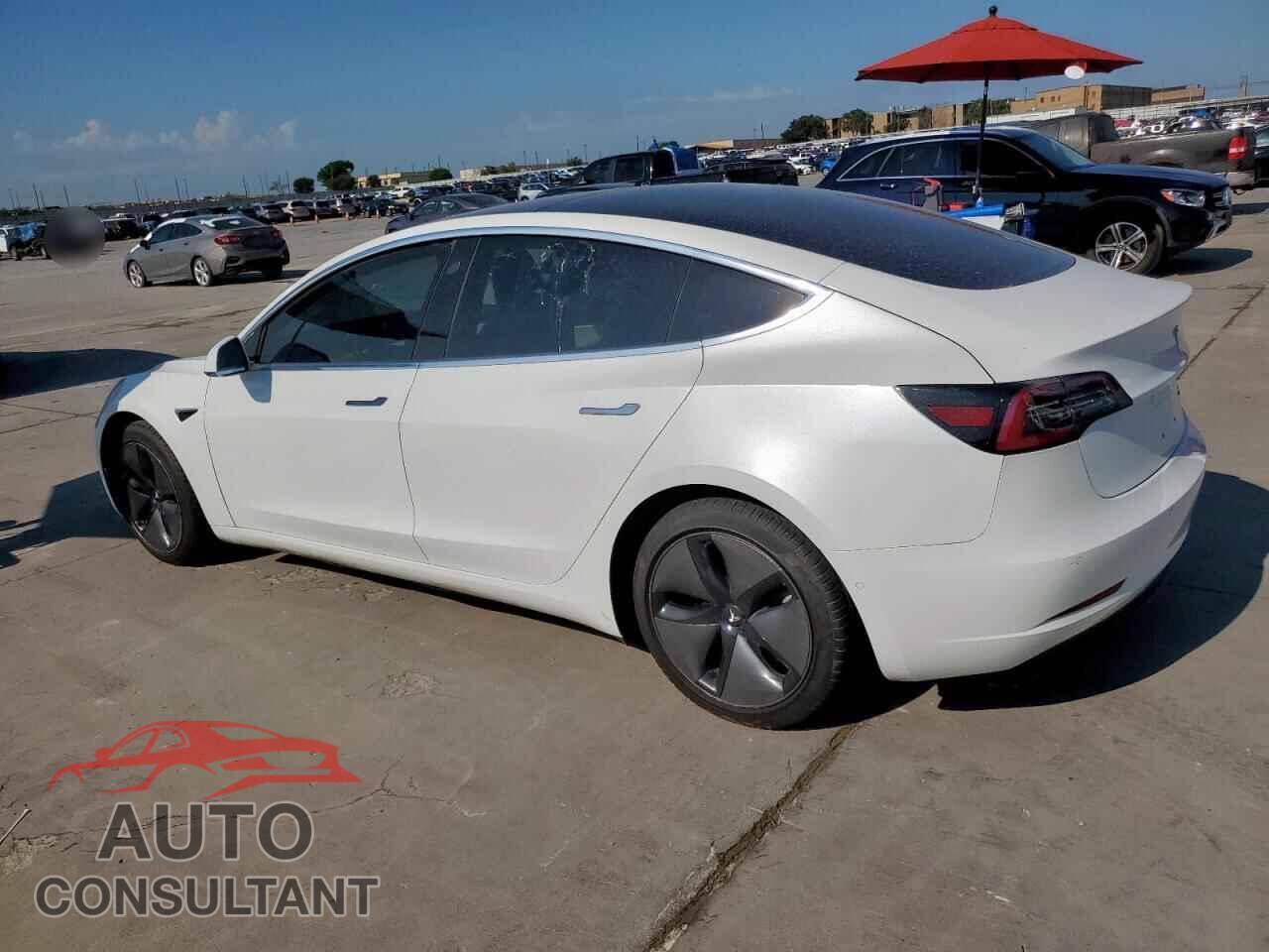 TESLA MODEL 3 2019 - 5YJ3E1EB9KF195065