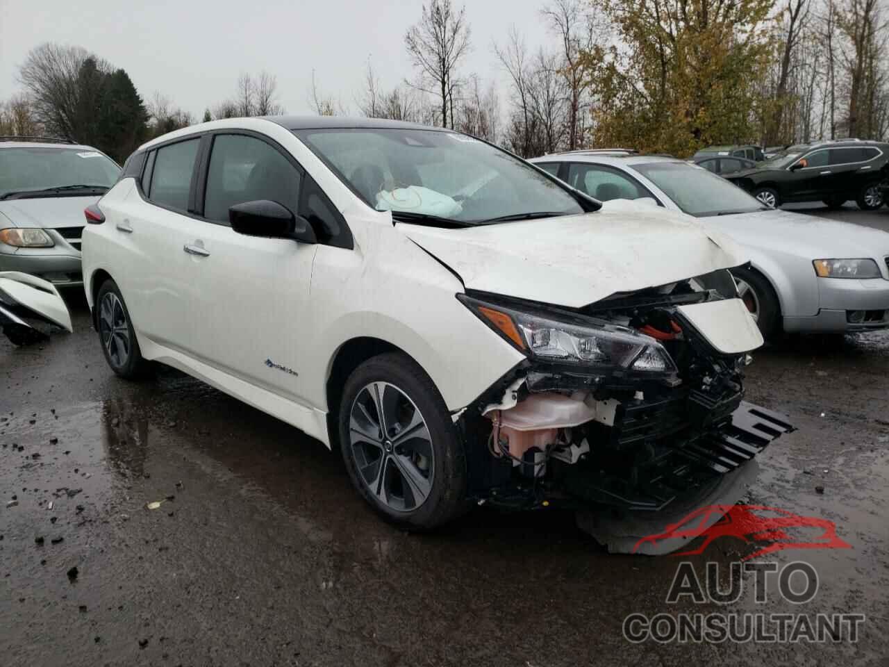 NISSAN LEAF 2019 - 1N4BZ1CP0KC310539