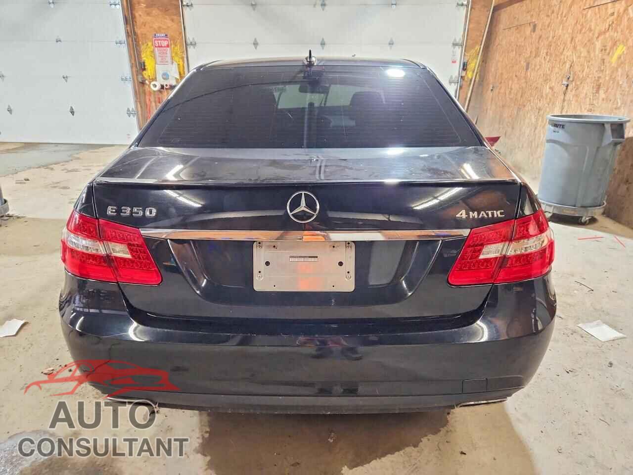 MERCEDES-BENZ E-CLASS 2010 - WDDHF8HB5AA064686
